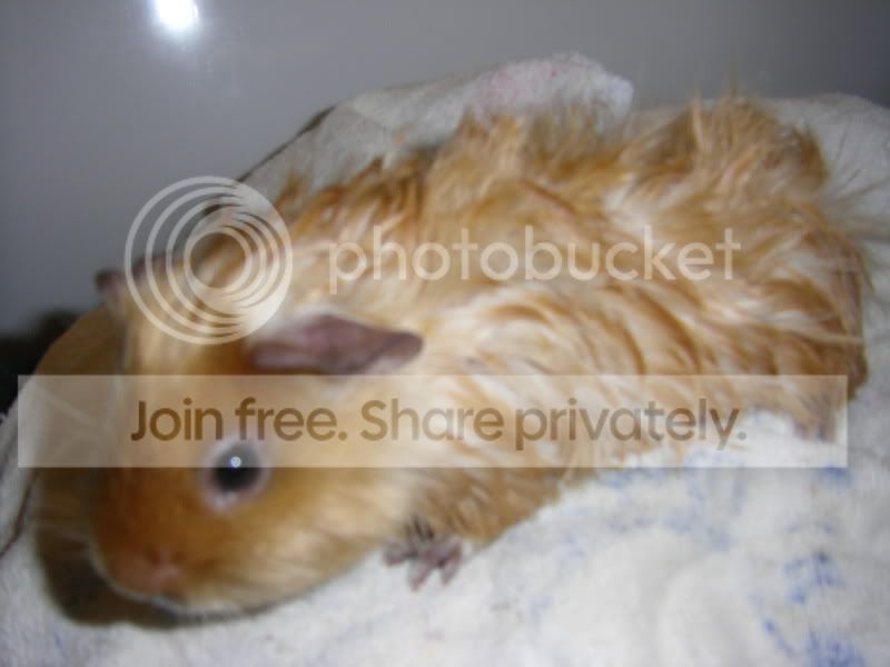 STH71407.jpg