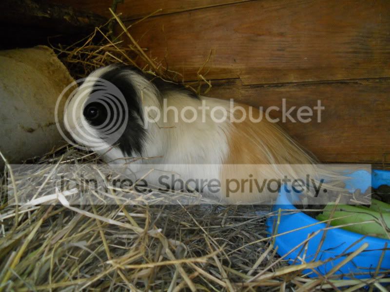 DSCN0726.jpg