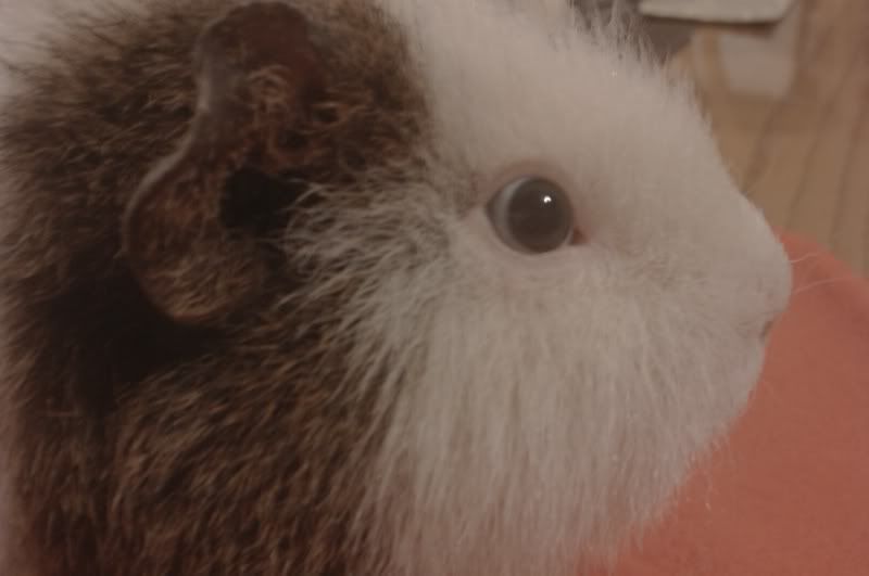 IMAG0456.jpg