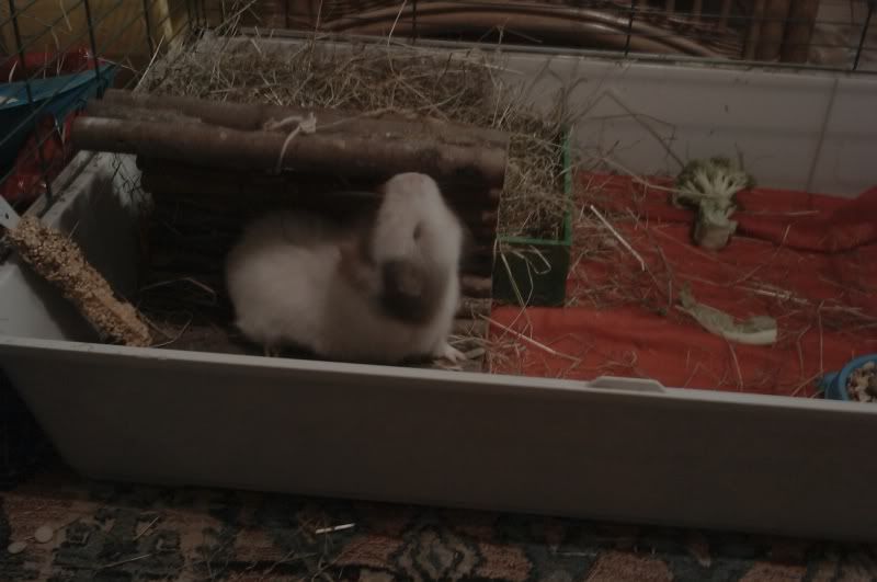 IMAG0472.jpg
