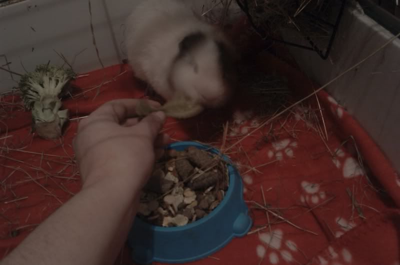 IMAG0475.jpg