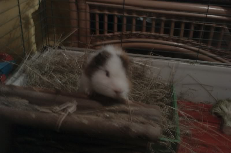 IMAG0477.jpg