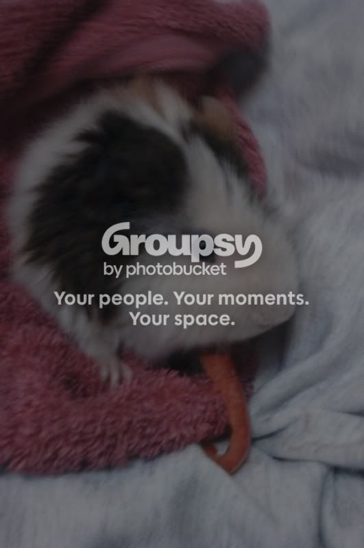 IMAG0517.jpg