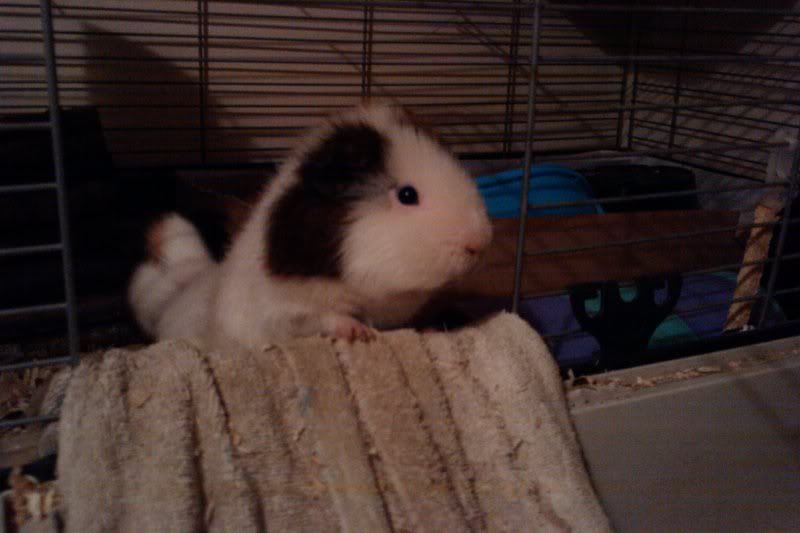 IMAG0885.jpg