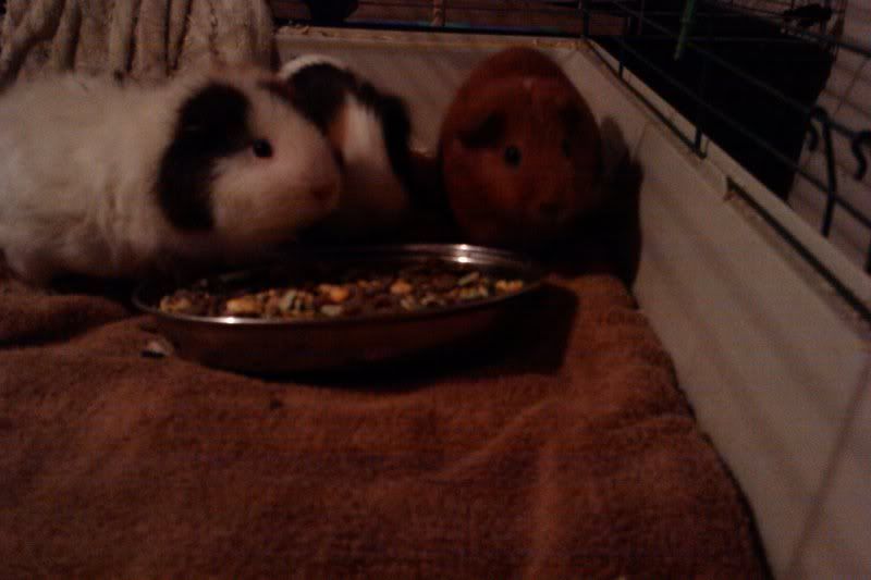 IMAG0890.jpg