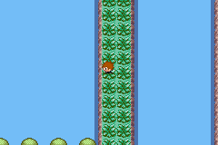 [PokeCommunity.com] pokemon GF- a real computer game (gba graphics) i wrote