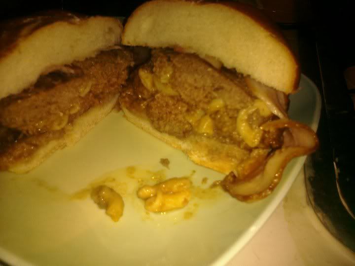 https://i17.photobucket.com/albums/b84/kcos45/macandcheeseburger.jpg
