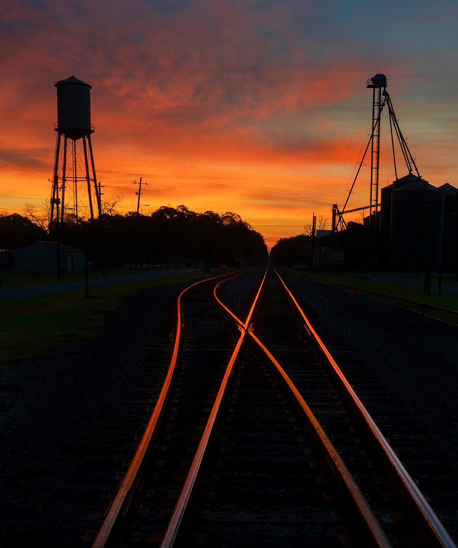 Photo Of the Week