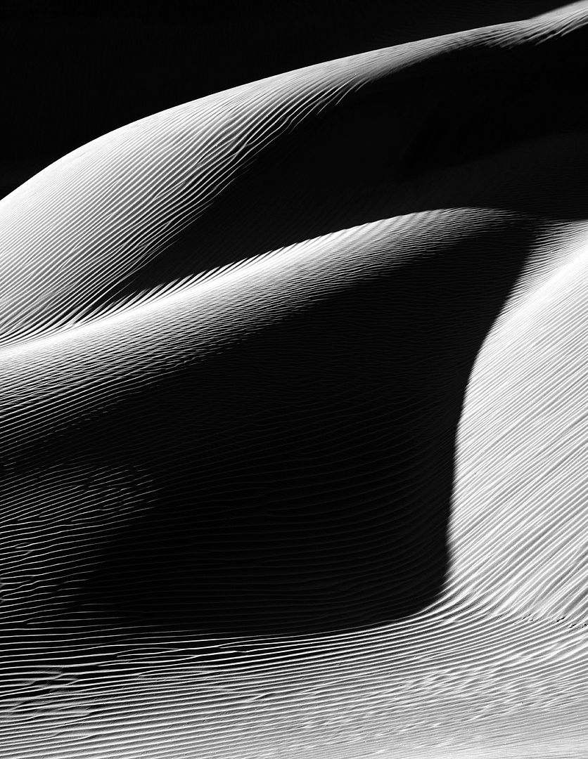 Photo Of the Week
