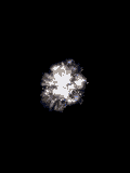 041203_happynewyear.gif
